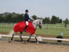 holdmesterskab-2014-313