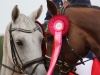 holdmesterskab-2014-361