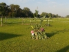 20140906_084320