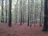 20141023_160748