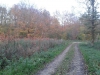 20141107_154646