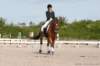 ctfoto_img_4564_small.jpg