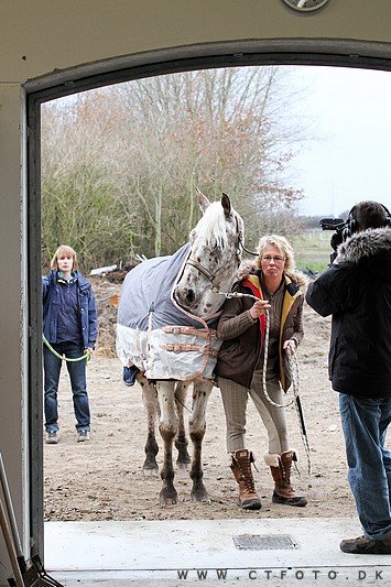 ctfoto_img_0295.jpg