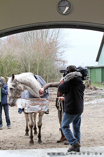 ctfoto_img_0297.jpg