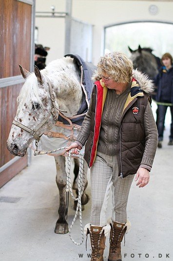 ctfoto_img_0320.jpg