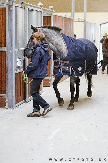 ctfoto_img_0326.jpg