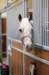 ctfoto_img_0399_small.jpg