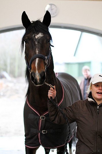 ctfoto_img_0419.jpg