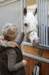 ctfoto_img_0441_small.jpg