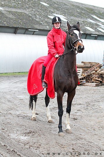 ctfoto_img_0545.jpg