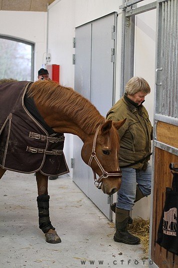 ctfoto_img_0570.jpg