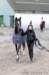 ctfoto_img_0598_small.jpg