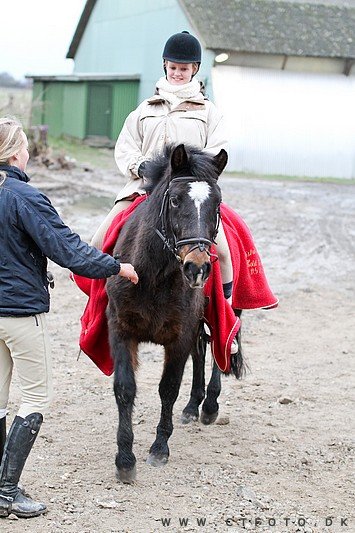 ctfoto_img_0648.jpg