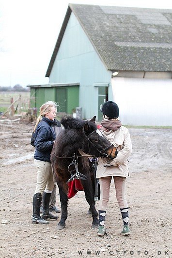 ctfoto_img_0653.jpg