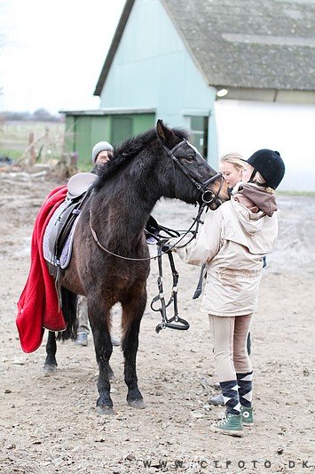 ctfoto_img_0655.jpg