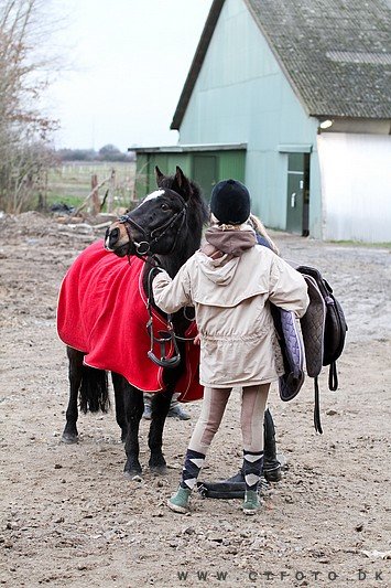 ctfoto_img_0657.jpg