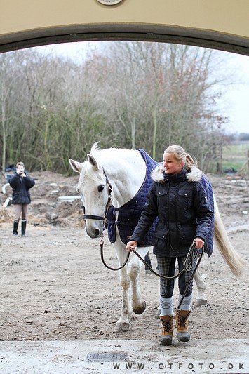 ctfoto_img_0691.jpg