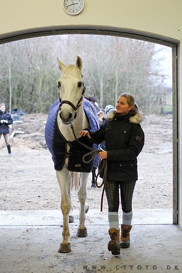 ctfoto_img_0693.jpg
