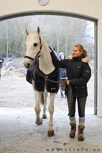 ctfoto_img_0694.jpg