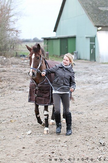 ctfoto_img_0711.jpg