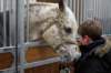ctfoto_img_0739_small.jpg