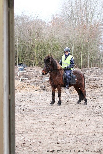 ctfoto_img_0773.jpg