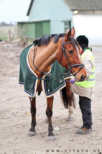 ctfoto_img_0789.jpg