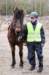 ctfoto_img_0794_small.jpg