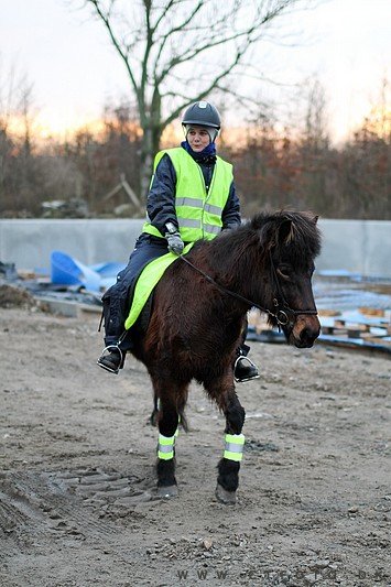 ctfoto_img_0898.jpg