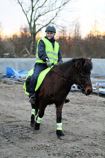 ctfoto_img_0899.jpg