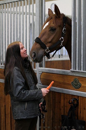 ctfoto_img_0955.jpg