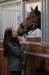 ctfoto_img_0957_small.jpg