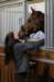 ctfoto_img_0960_small.jpg