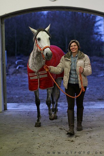 ctfoto_img_1029.jpg