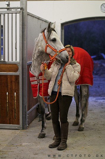 ctfoto_img_1041.jpg