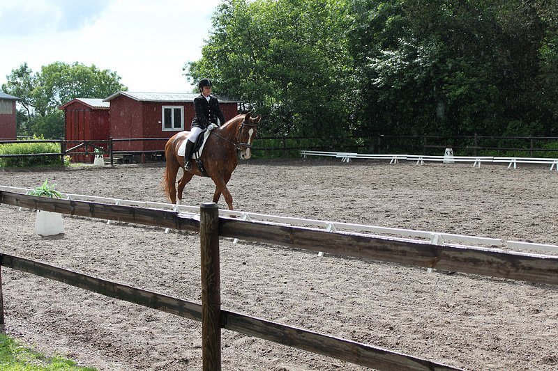 _06_20_d5_holdmesterskab_2010_133.jpg
