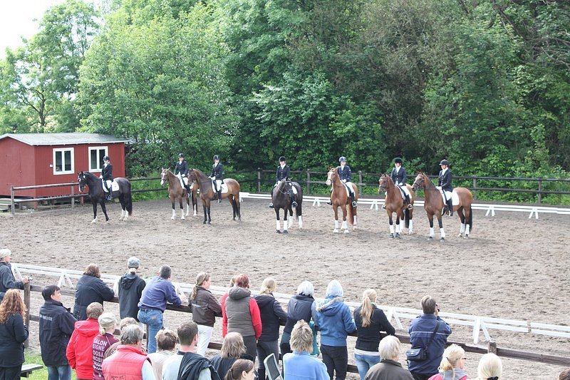 _06_20_d5_holdmesterskab_2010_175.jpg