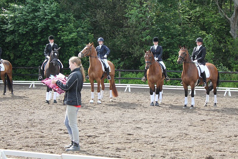 _06_20_d5_holdmesterskab_2010_185.jpg