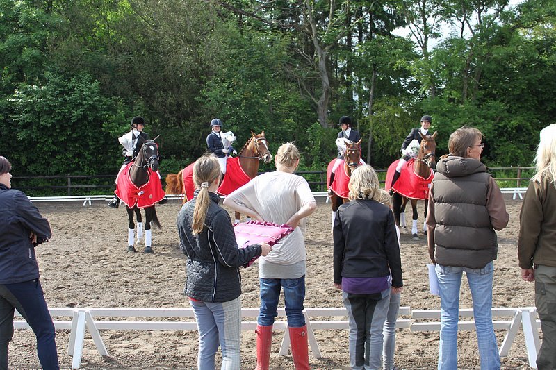 _06_20_d5_holdmesterskab_2010_210.jpg
