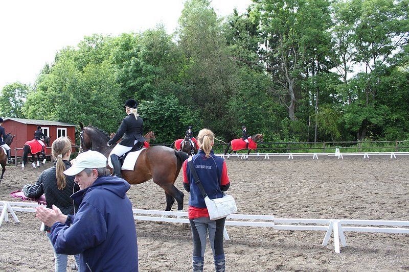 _06_20_d5_holdmesterskab_2010_222.jpg