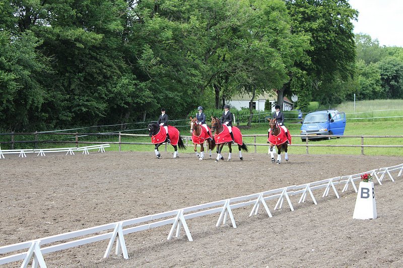 _06_20_d5_holdmesterskab_2010_270.jpg