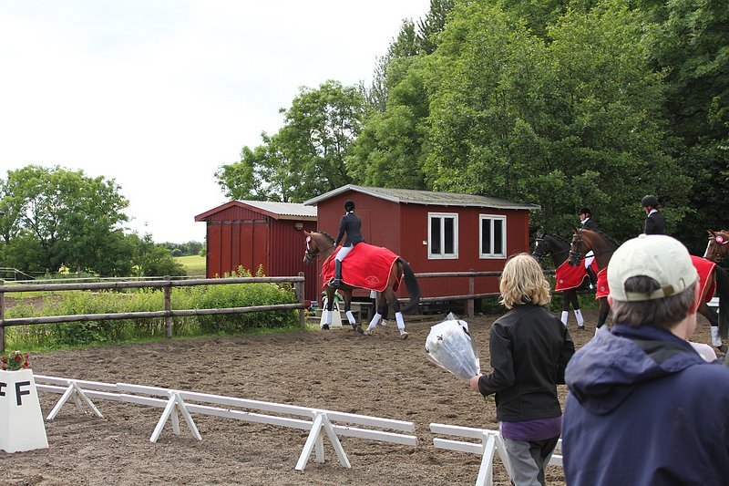 _06_20_d5_holdmesterskab_2010_291.jpg