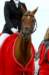 ctfoto_sar_250910_0243_small.jpg