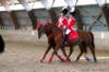 ctfoto_sar_250910_0566_small.jpg