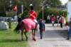 ctfoto_sar_250910_0703_small.jpg