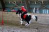 ctfoto_sar_250910_1133_small.jpg