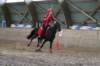 ctfoto_sar_250910_1264_small.jpg