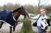 ctfoto_img_0438_small.jpg
