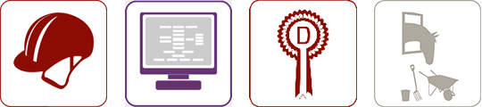 Dansk Rideforbund Certificeret - Sikkerhed - Organisation - D-stævne - Opstaldning