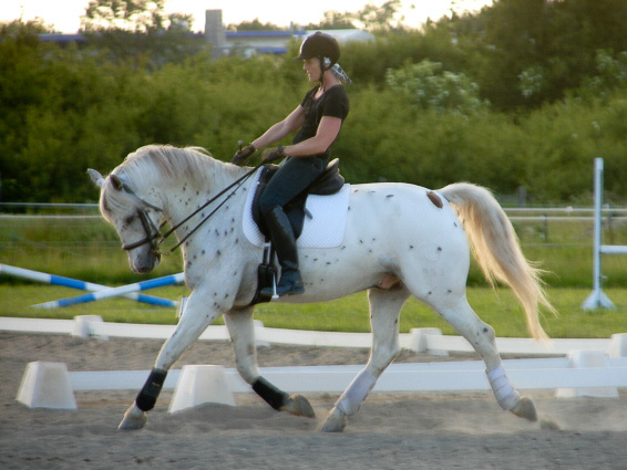 Sys Holstein modtog Skulderklap pokalen 2013